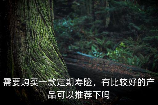 需要購買一款定期壽險，有比較好的產品可以推薦下嗎
