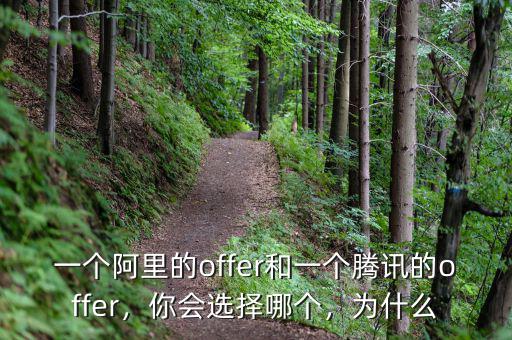 一個阿里的offer和一個騰訊的offer，你會選擇哪個，為什么