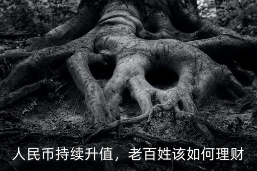 人民幣持續(xù)升值，老百姓該如何理財(cái)