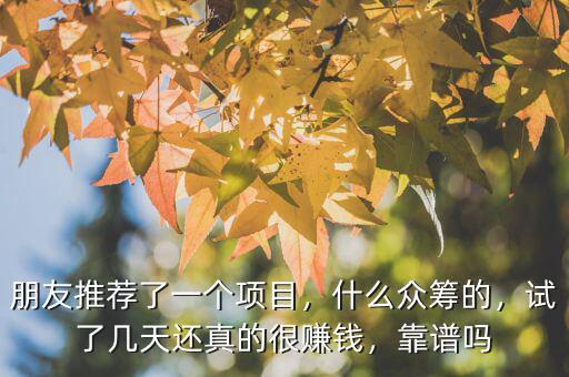 朋友推薦了一個項目，什么眾籌的，試了幾天還真的很賺錢，靠譜嗎