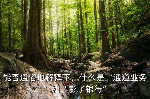 能否通俗地解釋下，什么是“通道業(yè)務(wù)”和“影子銀行”