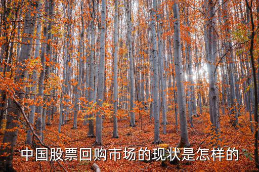 中國(guó)股票回購市場(chǎng)的現(xiàn)狀是怎樣的