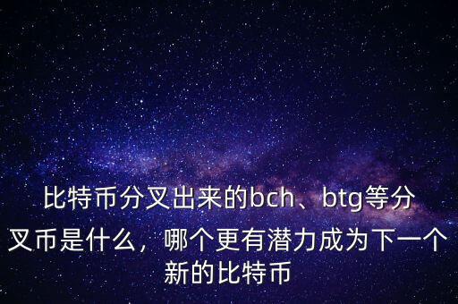 比特幣分叉出來的bch、btg等分叉幣是什么，哪個更有潛力成為下一個新的比特幣