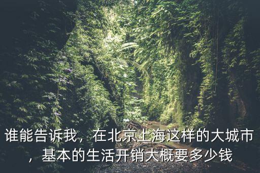 誰能告訴我，在北京上海這樣的大城市，基本的生活開銷大概要多少錢
