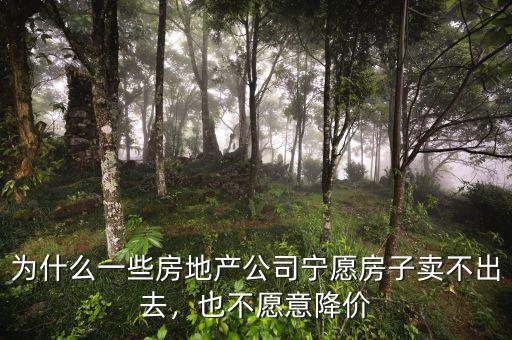 為什么一些房地產(chǎn)公司寧愿房子賣不出去，也不愿意降價