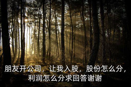 朋友開公司，讓我入股，股份怎么分，利潤怎么分求回答謝謝
