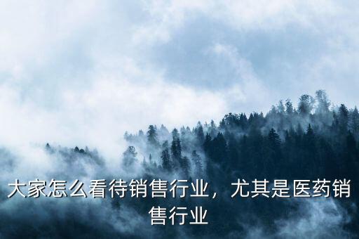大家怎么看待銷售行業(yè)，尤其是醫(yī)藥銷售行業(yè)
