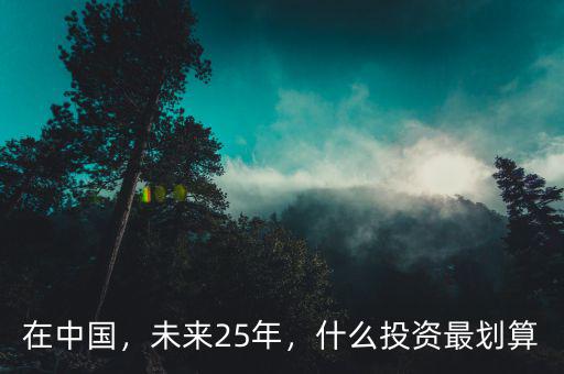 在中國，未來25年，什么投資最劃算