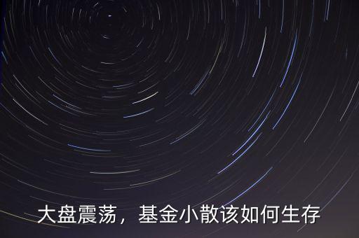 大盤震蕩，基金小散該如何生存