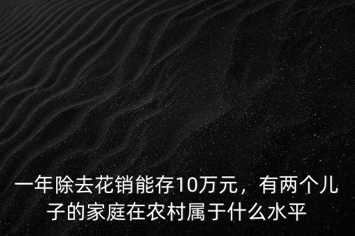 一年除去花銷能存10萬元，有兩個兒子的家庭在農(nóng)村屬于什么水平