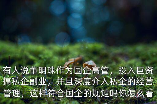 有人說董明珠作為國企高管，投入巨資搞私企副業(yè)，并且深度介入私企的經(jīng)營管理，這樣符合國企的規(guī)矩嗎你怎么看