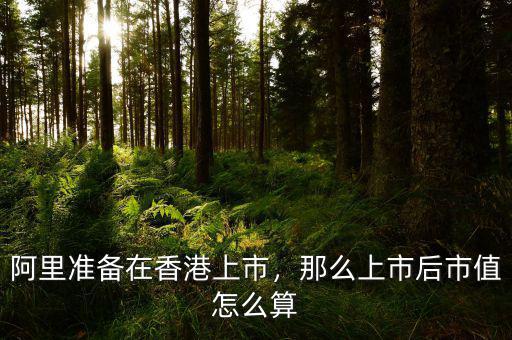 阿里準(zhǔn)備在香港上市，那么上市后市值怎么算