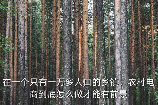 在一個只有一萬多人口的鄉(xiāng)鎮(zhèn)，農(nóng)村電商到底怎么做才能有前景
