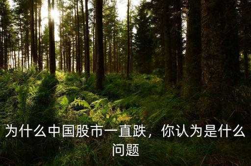為什么中國股市一直跌，你認為是什么問題