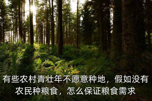 有些農村青壯年不愿意種地，假如沒有農民種糧食，怎么保證糧食需求