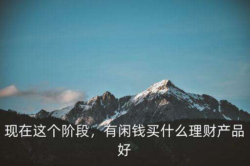 現(xiàn)在這個階段，有閑錢買什么理財產(chǎn)品好