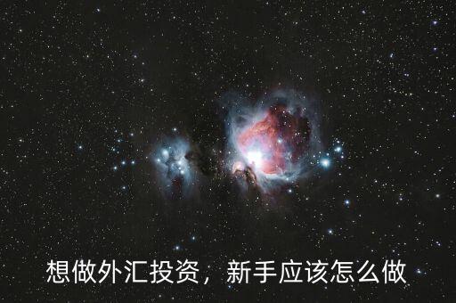 想做外匯投資，新手應(yīng)該怎么做