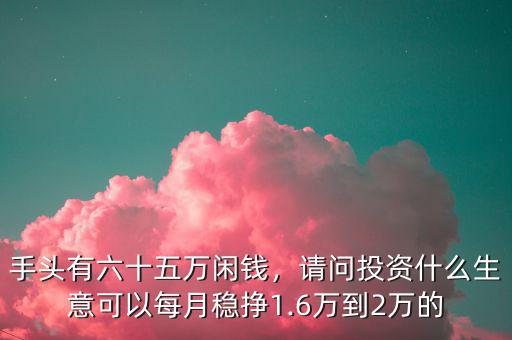 手頭有六十五萬(wàn)閑錢，請(qǐng)問(wèn)投資什么生意可以每月穩(wěn)掙1.6萬(wàn)到2萬(wàn)的