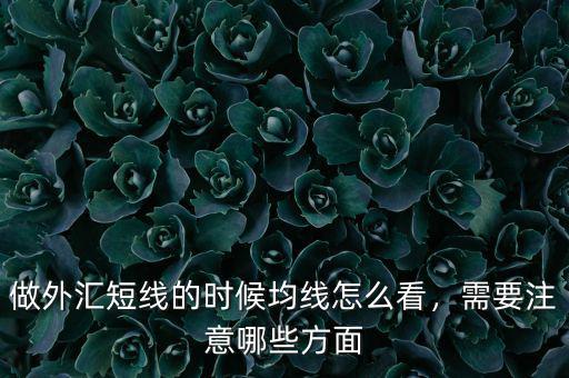 做外匯短線的時(shí)候均線怎么看，需要注意哪些方面