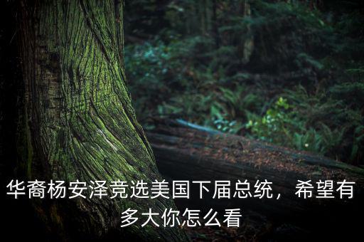 華裔楊安澤競(jìng)選美國(guó)下屆總統(tǒng)，希望有多大你怎么看