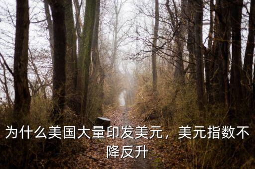 為什么美國大量印發(fā)美元，美元指數(shù)不降反升