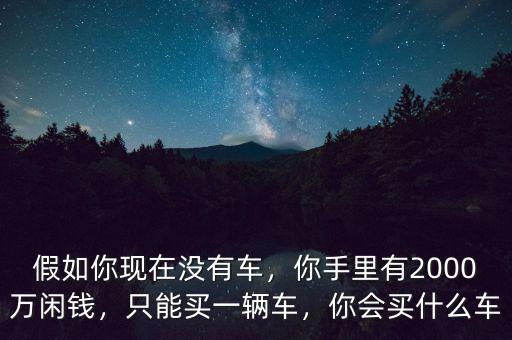 假如你現在沒有車，你手里有2000萬閑錢，只能買一輛車，你會買什么車