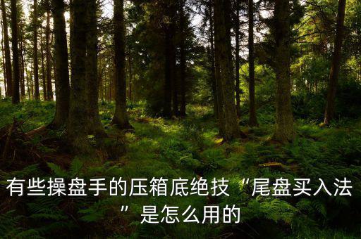 股市操盤(pán)手怎么賣出買入,怎么看出是主動(dòng)買入還是賣出