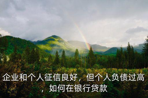 企業(yè)和個(gè)人征信良好，但個(gè)人負(fù)債過(guò)高，如何在銀行貸款