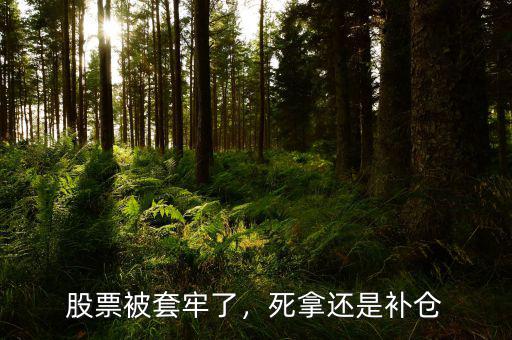股票被套牢了，死拿還是補(bǔ)倉