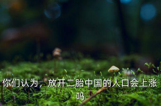 你們認為，放開二胎中國的人口會上漲嗎