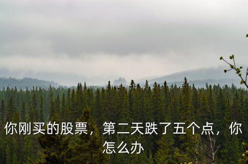 你剛買的股票，第二天跌了五個(gè)點(diǎn)，你怎么辦