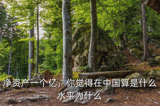 凈資產(chǎn)一個億，你覺得在中國算是什么水平為什么
