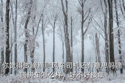 你覺得做滴滴順風(fēng)車司機(jī)還有意思嗎嘀嗒拼車怎么樣，好不好接單