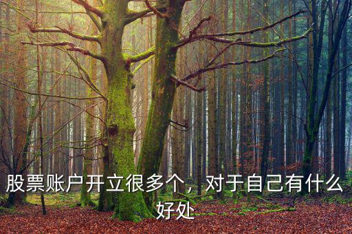 股票賬戶開立很多個，對于自己有什么好處