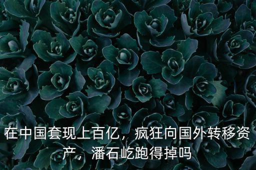 在中國套現(xiàn)上百億，瘋狂向國外轉(zhuǎn)移資產(chǎn)，潘石屹跑得掉嗎