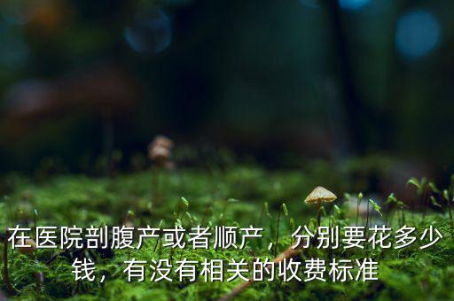 在醫(yī)院剖腹產(chǎn)或者順產(chǎn)，分別要花多少錢，有沒有相關的收費標準