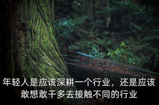 年輕人是應(yīng)該深耕一個(gè)行業(yè)，還是應(yīng)該敢想敢干多去接觸不同的行業(yè)