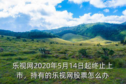 樂視網(wǎng)2020年5月14日起終止上市，持有的樂視網(wǎng)股票怎么辦