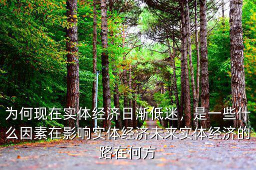 為何現(xiàn)在實體經(jīng)濟(jì)日漸低迷，是一些什么因素在影響實體經(jīng)濟(jì)未來實體經(jīng)濟(jì)的路在何方