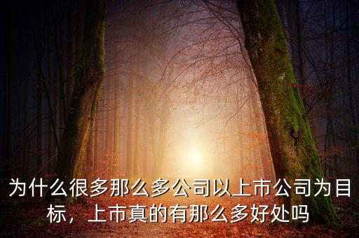為什么很多那么多公司以上市公司為目標(biāo)，上市真的有那么多好處嗎