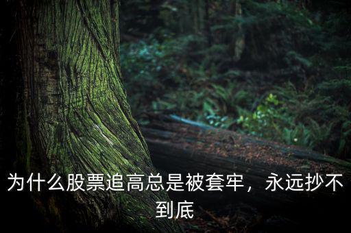 為什么股票追高總是被套牢，永遠(yuǎn)抄不到底