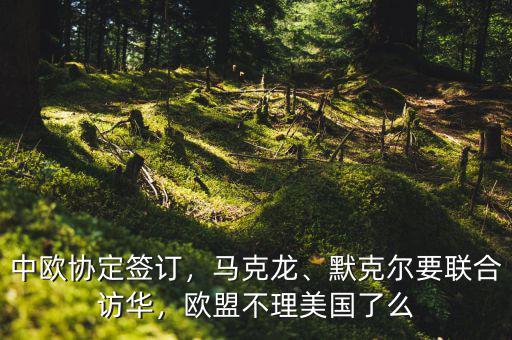 中歐協(xié)定簽訂，馬克龍、默克爾要聯(lián)合訪華，歐盟不理美國了么