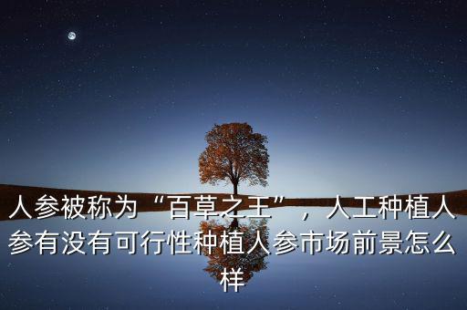 人參被稱為“百草之王”，人工種植人參有沒有可行性種植人參市場前景怎么樣