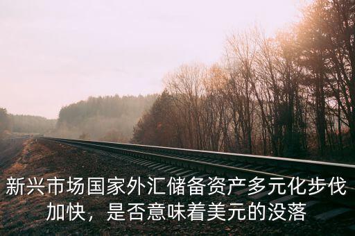 新興市場國家外匯儲(chǔ)備資產(chǎn)多元化步伐加快，是否意味著美元的沒落