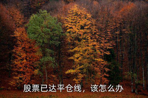 股票已達平倉線，該怎么辦