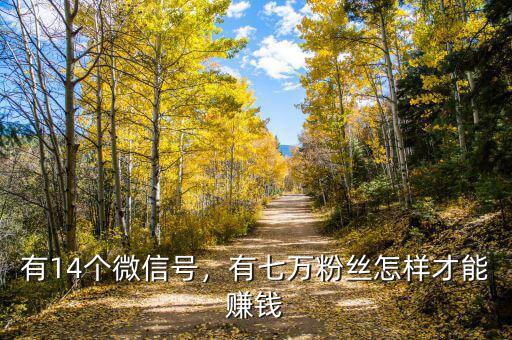 有14個微信號，有七萬粉絲怎樣才能賺錢