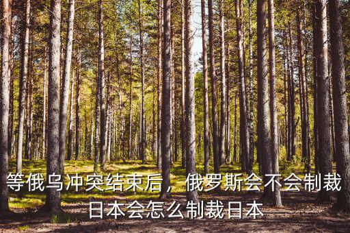 等俄烏沖突結(jié)束后，俄羅斯會(huì)不會(huì)制裁日本會(huì)怎么制裁日本
