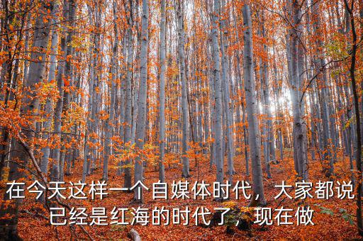 在今天這樣一個自媒體時代，大家都說已經(jīng)是紅海的時代了，現(xiàn)在做