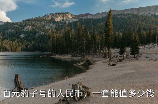 百元豹子號的人民幣，一套能值多少錢