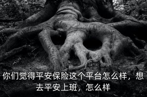 你們覺(jué)得平安保險(xiǎn)這個(gè)平臺(tái)怎么樣，想去平安上班，怎么樣